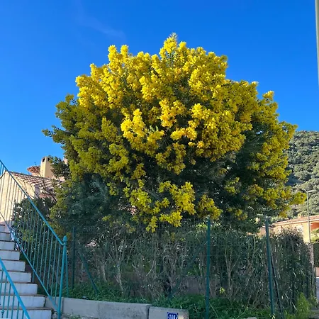 Appartement St Clair *